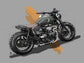 Triumph custom Framed Print