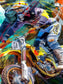 Travis Pastrana Framed Print