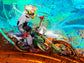 Ricky Carmichael Foamex Print