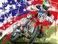 Ronnie Mac Foamex Print