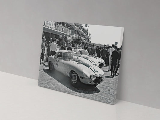 Jaguar Racing Team Canvas Print