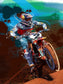 Jeremy McGrath Canvas Print